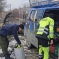 Услуги арбориста 1